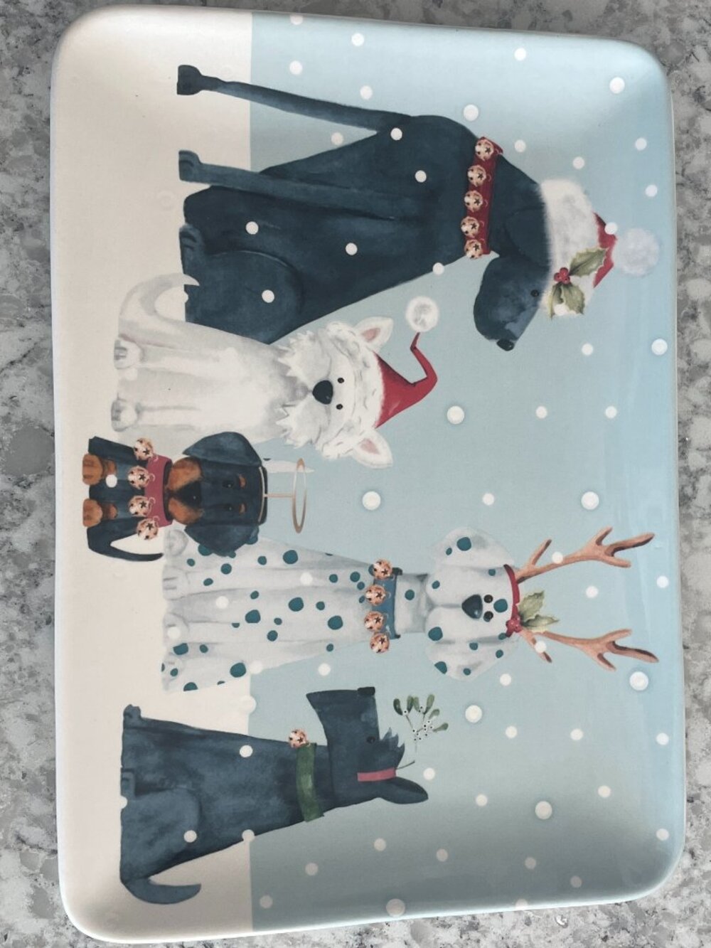 PIER 1 IMPORTS HOLIDAY PUPS PLATTER CHRISTMAS NWT - Picture 2 of 7
